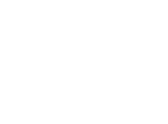 Silk Medical Spa White Logo